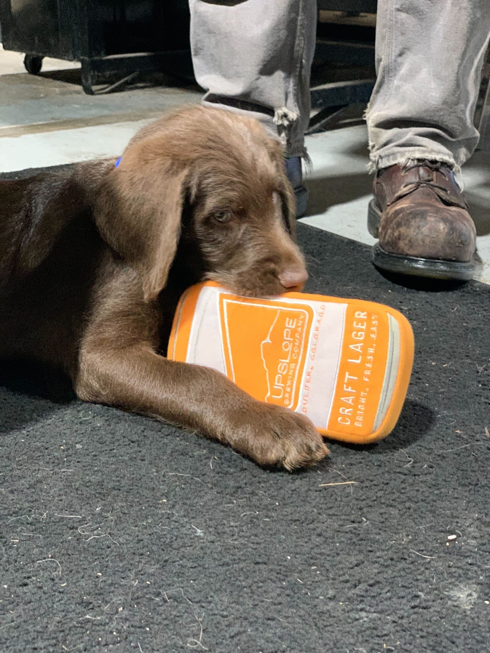 "Pupslope" Craft Lager Can Dog Toy